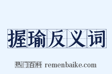 握瑜反义词是什么意思的图片